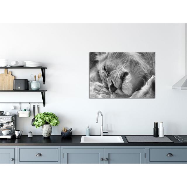 Sleeping Lion - Unframed Photograph on Glass 17 Stories Size: 70cm H x 100cm W x 0.4cm D on Productcaster.