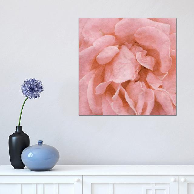 Wall Flower IV by Alonzo Saunders - Wrapped Canvas Painting ClassicLiving Size: 45.72cm H x 45.72cm W x 1.91cm D on Productcaster.