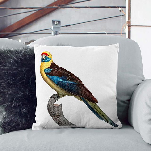 Crimson Rosella by F. Levaillant Cushion with Filling East Urban Home Size: 55cm H x 55cm W x 20cm D, Backing Colour: White on Productcaster.