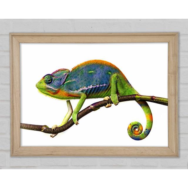 Chameleon Branch - Print 17 Stories Size: 42cm H x 59.7cm W x 1.5cm D on Productcaster.