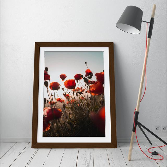 Red Poppies Portrait - Single Picture Frame Print on Canvas ClassicLiving Frame Colour: Brown Framed, Size: 89cm H x 64cm W on Productcaster.