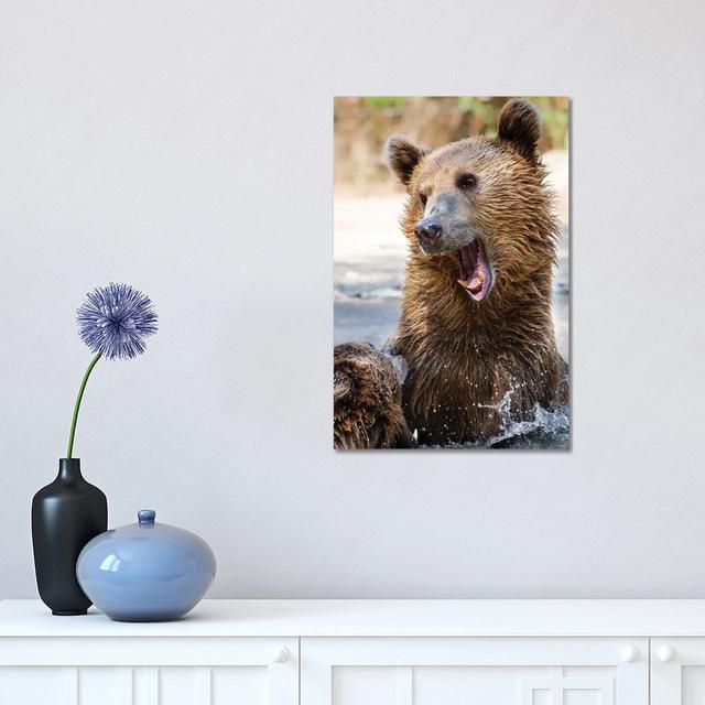 Bears by Goran Anastasovski - Wrapped Canvas Graphic Art Alpen Home Size: 45.72cm H x 30.48cm W x 1.905cm D on Productcaster.