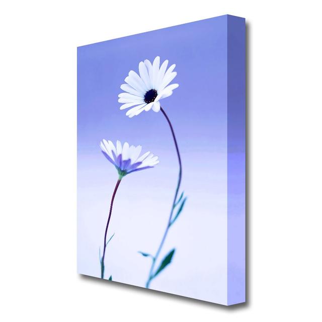 White Daisy Duo On Lilac Flowers Canvas Print Wall Art East Urban Home Size: 81.2 cm H x 50.8 cm W on Productcaster.