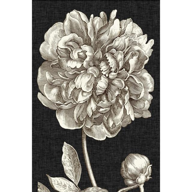 Dramatic Peony I by Vision Studio - Wrapped Canvas Painting Blue Elephant Size: 30cm H x 20cm W on Productcaster.