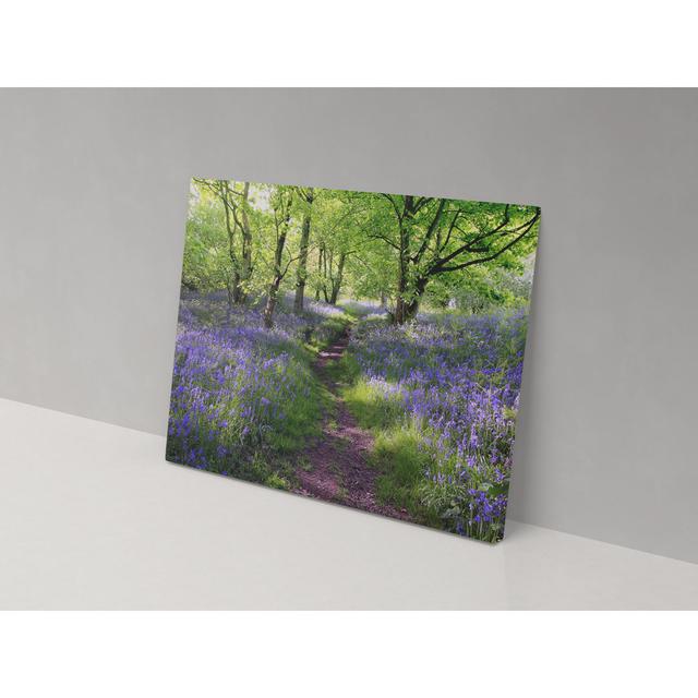 Canvas Collection Bluebell Woodland - Wrapped Canvas Print ClassicLiving Size: 52cm H x 82cm W x 4cm D on Productcaster.