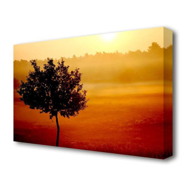 'Blazing Sun Tree Landscape' - Wrapped Canvas Photographic Print East Urban Home Size: 66 cm H x 101.6 cm W on Productcaster.