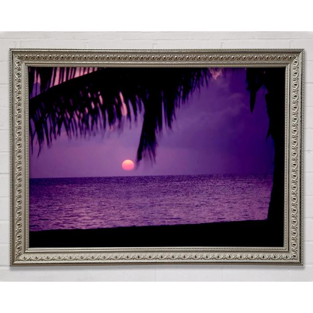 Sun Down Palm Purple Framed Print Wall Art Highland Dunes Size: 100cm H x 141.4cm W x 3cm D, Format: Silver Framed Paper on Productcaster.