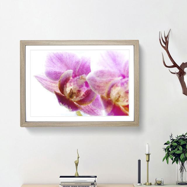 A Pink Orchid Flower - Picture Frame Photograph Print East Urban Home Frame Option: Oak Framed, Size: 45cm H x 63cm W x 2cm D on Productcaster.