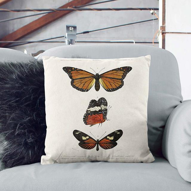 Butterfly Illustrations PL. 5 by Charles D' Orbigny Cushion with Filling East Urban Home Size: 55cm H x 55cm W x 20cm D on Productcaster.