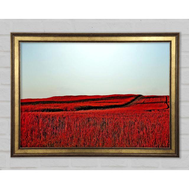 Red Meadow - Print Ebern Designs Size: 21cm H x 29.7cm W x 1.5cm D on Productcaster.