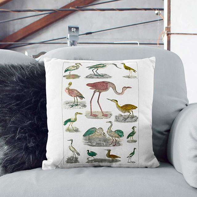 Flightless Birds XXXVII by Oliver Goldsmith Cushion with Filling East Urban Home Size: 40cm H x 40cm W x 15cm D on Productcaster.