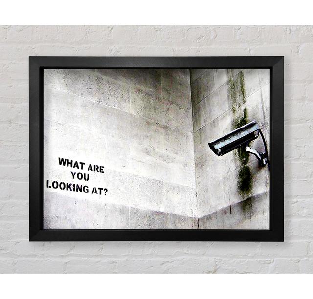 What Are You Looking At Framed Print - Picture Frame Typography on Canvas Happy Larry Format: Black Framed Paper, Size: 59.7cm H x 84.1cm W x 3.4cm D on Productcaster.