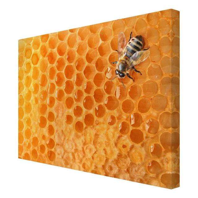 Honey Bee - Wrapped Canvas Graphic Art Print East Urban Home Size: 120cm L x 90cm W on Productcaster.