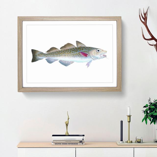 Atlantic Cod Fish by Edward Donovan - Single Picture Frame Painting East Urban Home Size: 33cm H x 45cm W x 2cm D, Frame Option: Oak Framed on Productcaster.