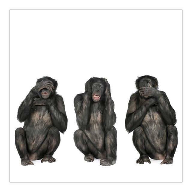 Three Wise Monkeys Semi-Gloss Wall Mural East Urban Home Material quality: Standard (110g/m²), Size: 2.88m x 288cm on Productcaster.