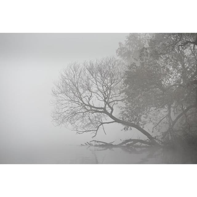 Autumn Foggy Morning. by Weisemaxhelloween - Wrapped Canvas Photograph Marlow Home Co. Size: 20cm H x 30cm W on Productcaster.