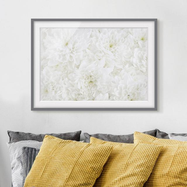 Dahlias Framed Graphic Art Print Poster East Urban Home Size: 70cm H x 100cm W, Frame Options: Matt grey on Productcaster.