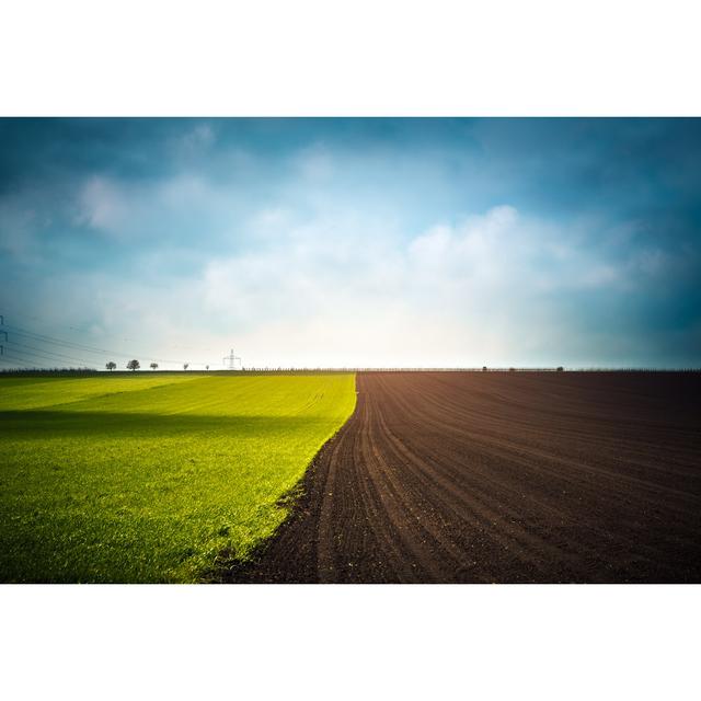 Field In Spring by Borchee - No Frame Art Prints on Canvas 17 Stories Size: 51cm H x 76cm W on Productcaster.