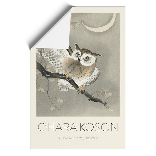 Long Eared Owl by Ohara Koson - Unframed Graphic Art East Urban Home Size: 59cm H x 42cm W x 0.1cm D on Productcaster.