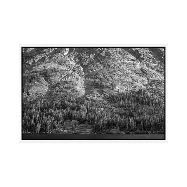 Tongass National Forest, Alaska by Tim Fitzharris - Gallery-Wrapped Canvas Giclée on Canvas Union Rustic Format: White Framed, Size: 45.72cm H x 66.04 on Productcaster.