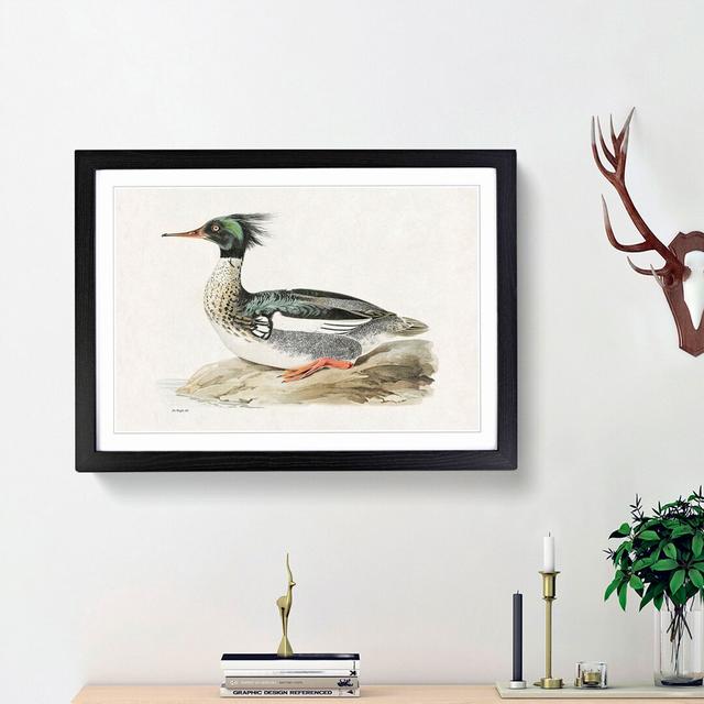 Merganser Diving Duck by Von Wright - Picture Frame Painting Print East Urban Home Frame Option: Black Framed, Size: 27cm H x 36cm W x 2cm D on Productcaster.