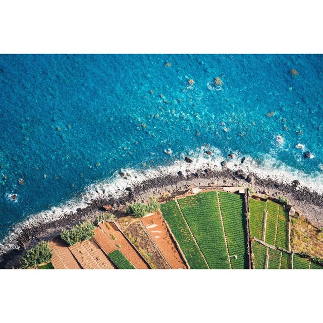 Fields by the sea House of Hampton Size: 51cm H x 76cm W x 3.8cm D on Productcaster.