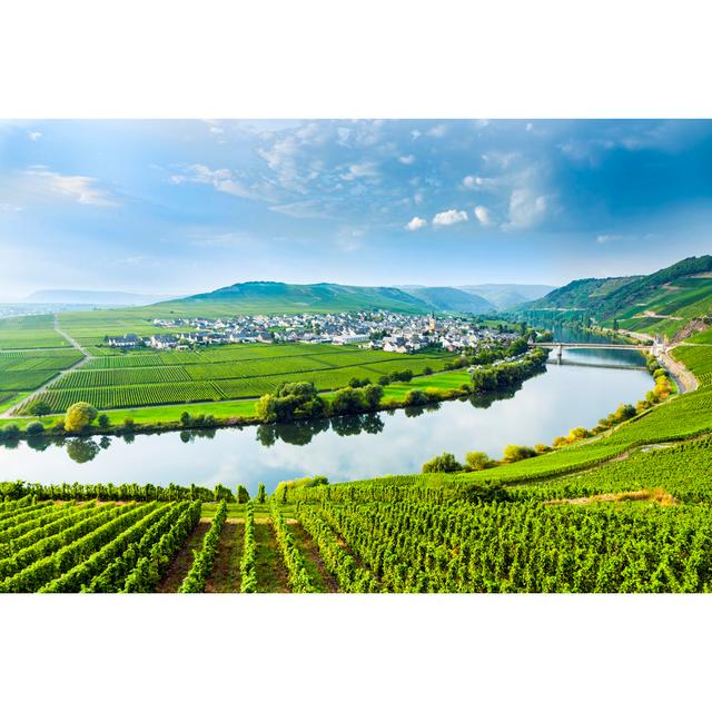 Landscape Of The Moselle Sinuosity With Rows Of Vineyards - Wrapped Canvas Print Union Rustic Size: 61cm H x 91cm W x 3.8cm D on Productcaster.