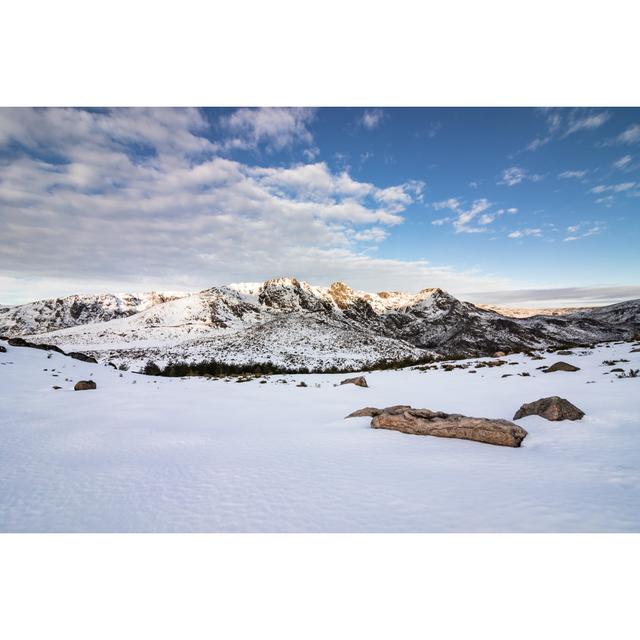 Serra Da Estrela von Tania Araujo - Kunstdrucke auf Leinwand Alpen Home Größe: 60 cm H x 40 cm B on Productcaster.