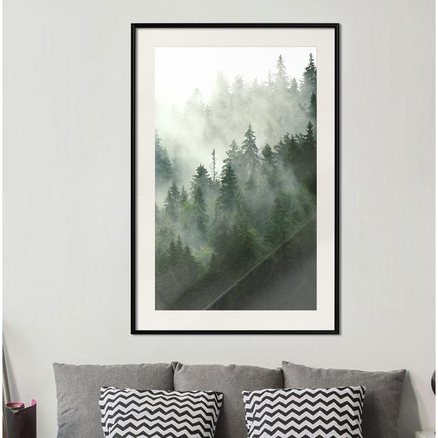 Gerahmtes Poster Steaming Forest Alpen Home Größe: 45 cm H x 30 cm B x 1,5 cm T, Rahmenauswahl: Mattschwarzer Rahmen on Productcaster.