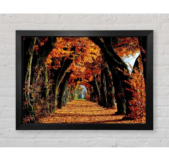 Beautiful Path - Single Picture Frame Art Prints Bright Star Size: 59.7cm H x 84.1cm W x 3.4cm D on Productcaster.