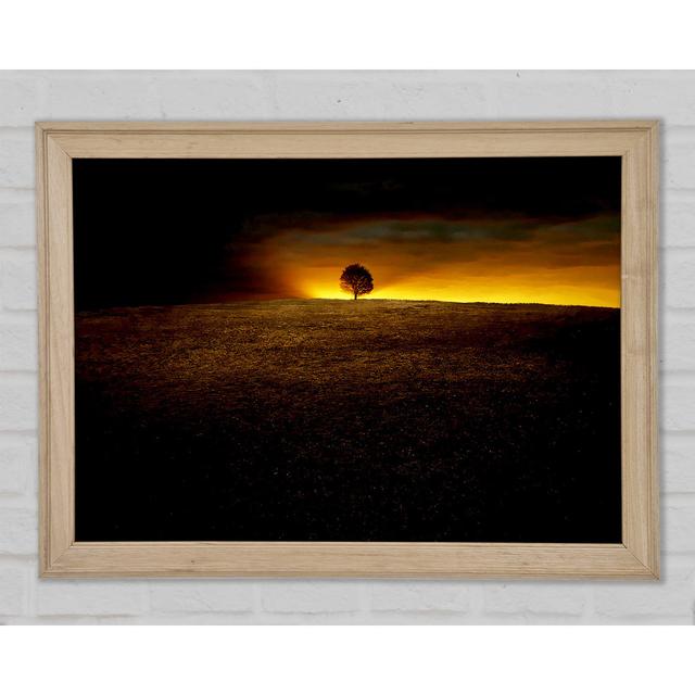 Lonely Tree At First Light - Single Picture Frame Art Prints Ebern Designs Size: 84.1cm H x 118.9cm W x 1.5cm D on Productcaster.