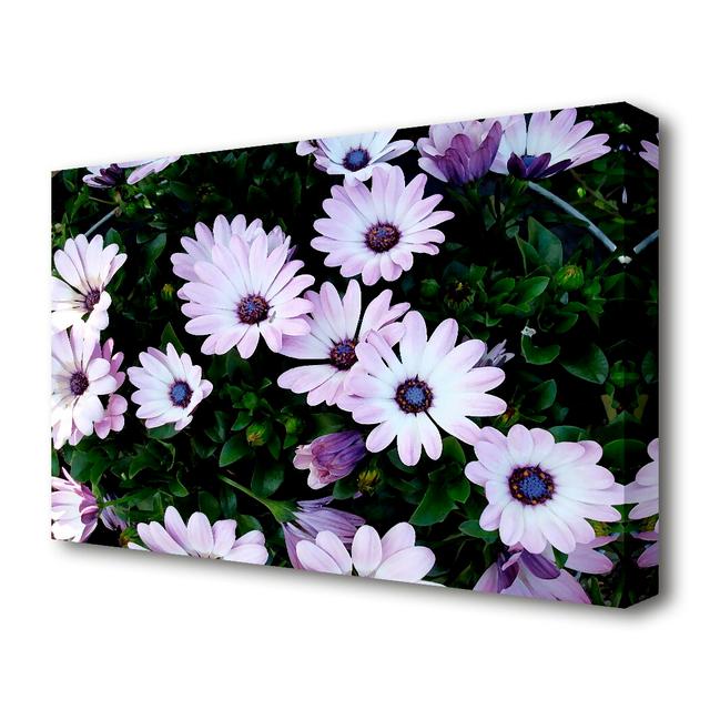 White Pink Baby Daisies Flowers Canvas Print Wall Art East Urban Home Size: 50.8 cm H x 81.3 cm W on Productcaster.