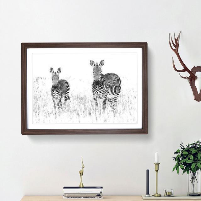 Two Zebras - Picture Frame Painting Print East Urban Home Frame Option: Walnut Framed, Size: 24cm H x 33cm W x 2cm D on Productcaster.