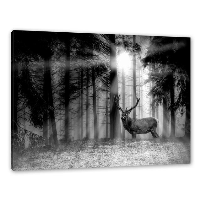 Leinwandbild Hirsch im Wald in Lichtung bei Sonnenstrahlen Alpen Home Größe: 40 cm H x 60 cm B x 1,8 cm T on Productcaster.