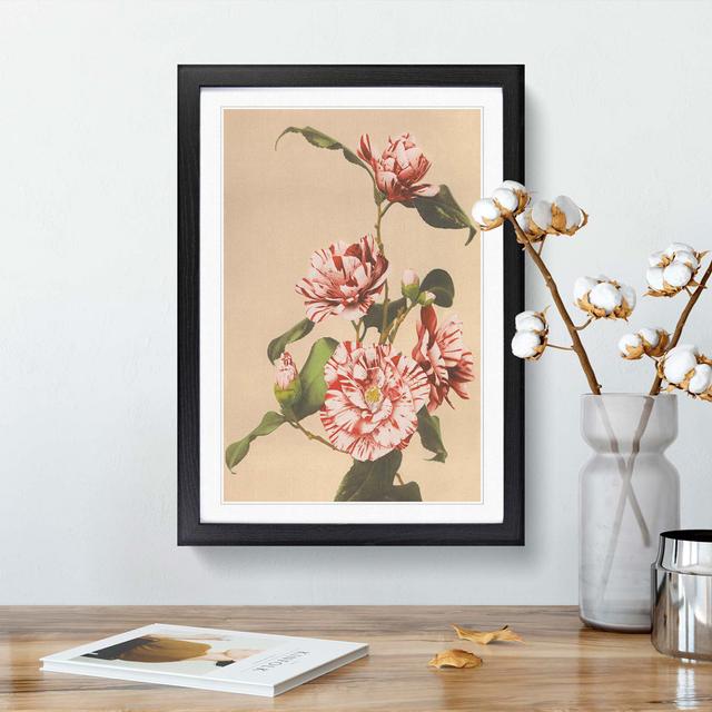 Pink Striped Camellias by Ogawa Kazumasa - Picture Frame Painting Print East Urban Home Size: 65cm H x 48cm W x 2cm D, Frame Option: Black Framed on Productcaster.