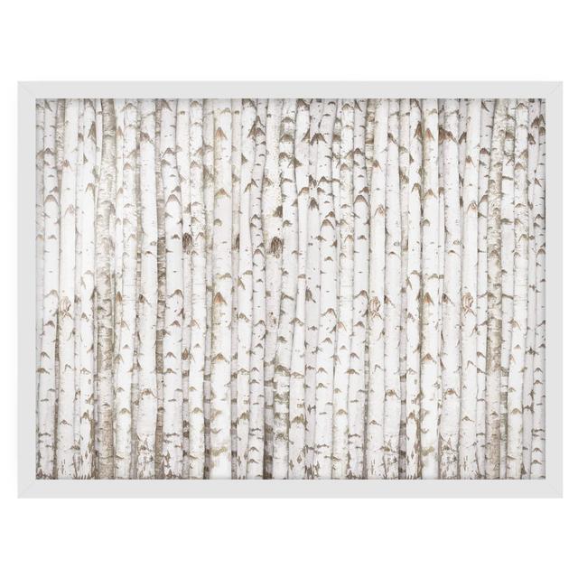 No.YK15 Birch Wall - Picture Frame Graphic Art Union Rustic Frame Option: White Framed, Size: 70cm H x 100cm W x 2cm D on Productcaster.