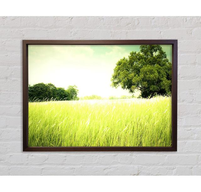 Sommerfeld Gras Gerahmter Druck Rosalind Wheeler Größe: 59.7cm H x 84.1cm W x 3.3cm D, Format: Walnut Framed Canvas on Productcaster.