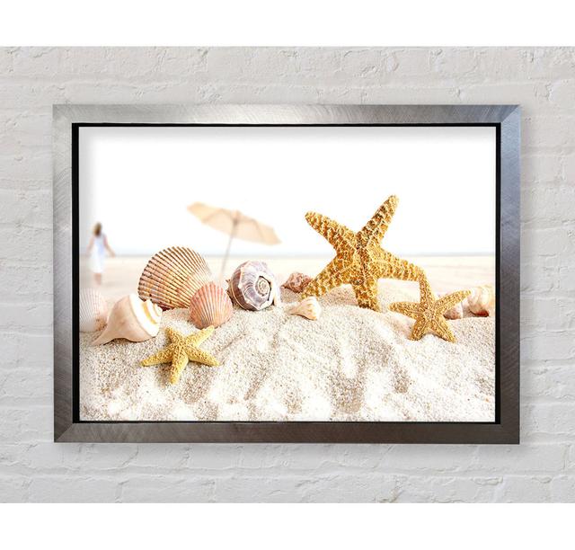 Seashells and Starfish on the Beach - Single Picture Frame Art Prints Bright Star Size: 42cm H x 59.7cm W x 3.4cm D on Productcaster.