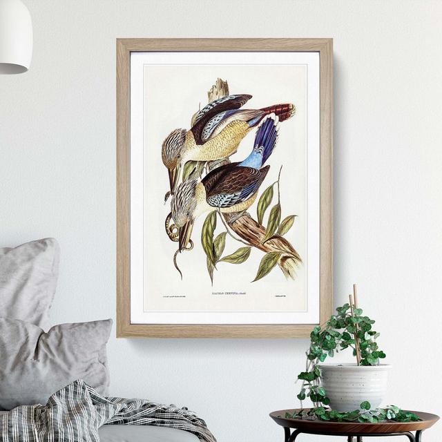 Fawn-breasted Kingfishers by Elizabeth Gould - Picture Frame Painting Print East Urban Home Frame Option: Oak Framed, Size: 48cm H x 36cm W x 2cm D on Productcaster.