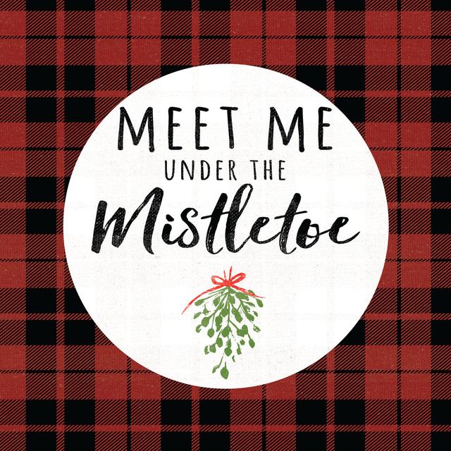 Meet Me under the Mistletoe Black Plaid 2 - Wrapped Canvas Typography The Seasonal Aisle Size: 122cm H x 122cm W x 3.8cm D on Productcaster.