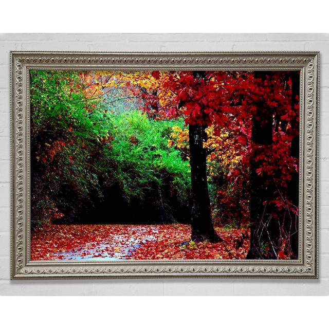 The Autumn Red Road Framed Print Union Rustic Size: 59.7cm H x 84.1cm W on Productcaster.