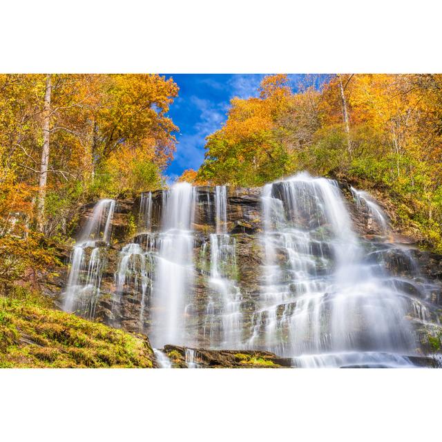 Amicalola Falls, Georgia, USA by Sean Pavone - Wrapped Canvas Print Alpen Home Size: 61cm H x 91cm W on Productcaster.