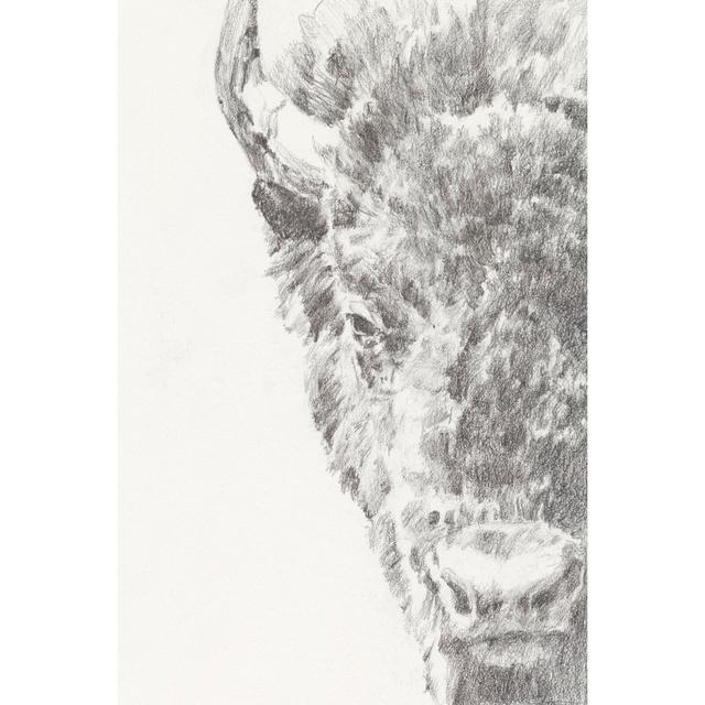 Graphite Bison Portrait I Gracie Oaks Size: 46cm H x 30cm W on Productcaster.