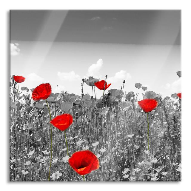 Beautiful Bright Red Poppy - No Frame Print on Glass Brayden Studio Size: 70cm H x 70cm W x 0.4cm D on Productcaster.