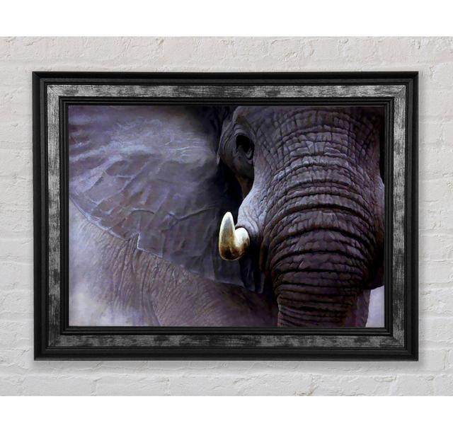 Elephant Stare - Single Picture Frame Art Prints Bright Star Size: 29.7cm H x 42cm W x 8cm D on Productcaster.