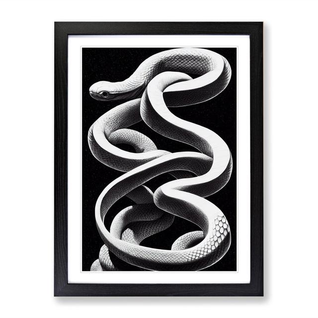 Coiled Snake - Picture Frame Photograph ClassicLiving Size: 46cm H x 34cm W x 2cm D, Frame Colour: Black on Productcaster.