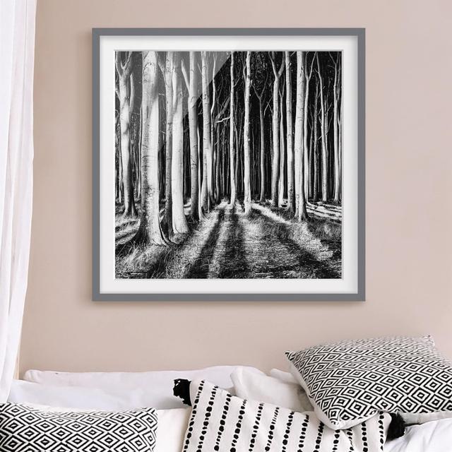 'Haunted Forest' - Picture Frame Photograph Print on Paper East Urban Home Frame Options: Matt grey, Size: 50cm H x 50cm W on Productcaster.