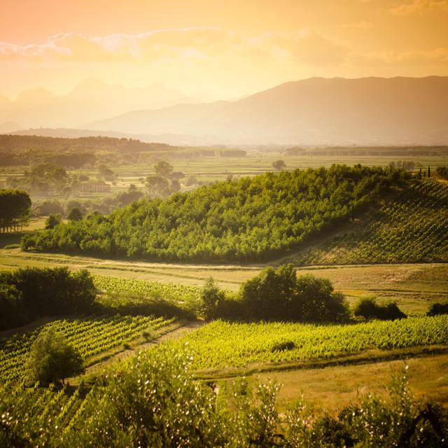 Chianti Region Hills - Wrapped Canvas Art Prints Alpen Home Size: 30cm H x 30cm W x 3.8cm D on Productcaster.