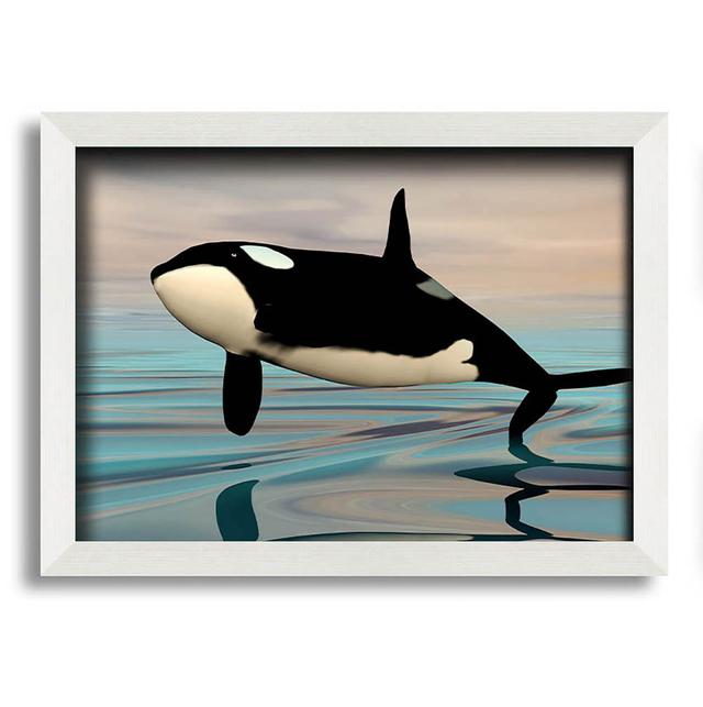 Eutropios Killer Whale Jump - Single Picture Frame Art Prints House of Hampton Size: 59.7cm H x 84.1cm W x 10cm D on Productcaster.