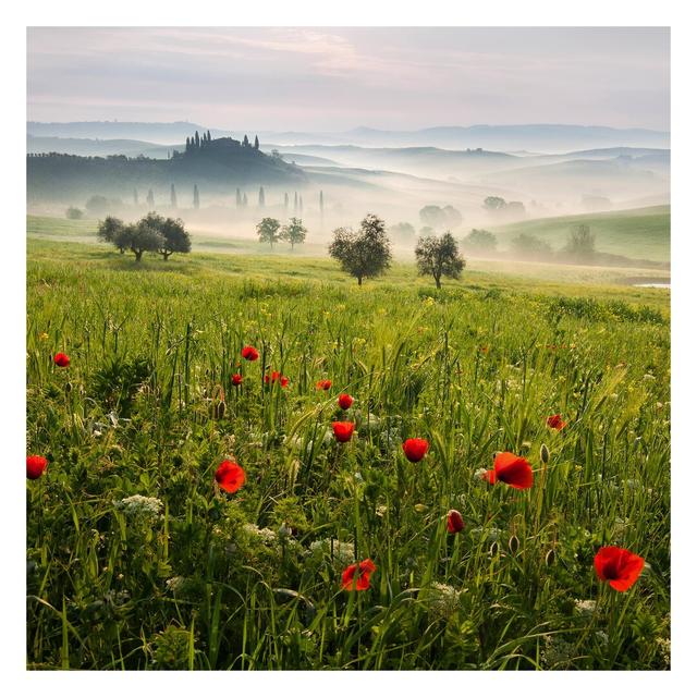 Tuscan Spring 3.36m x 3.36m Embossed Matte Peel & Stick Wall Mural East Urban Home on Productcaster.